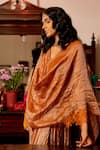 Buy_Chambray & CO._Rust Silk Organza, Cotton, Silk, Tissue Applique Lekha Banarasi Kaftan Set _Online_at_Aza_Fashions