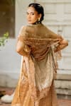 Chambray & CO._Brown Silk, Tissue, Chanderi Sweetheart Ritvi Striped Dress With Lace Trim Cape _at_Aza_Fashions