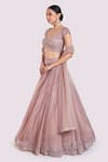Onaya_Pink Net Sequins, Stones V-, Scoop Cutdana Embroidered Lehenga Set _Online_at_Aza_Fashions
