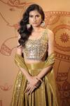 Vana Ethnics_Gold Tissue Mirrors, Stones, Embroidery The Sheesh Mahal Embellished Lehenga Set _at_Aza_Fashions