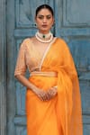 Amoree india_Orange Organza, Silk, Chanderi Zari, Beads, Border Embroidered Saree With Blouse _Online_at_Aza_Fashions