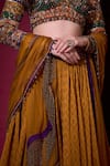 Shop_Aayushi Maniar_Mustard Tissue, Organza Sequins, Stones, Zari, Suryavanshi Printed Lehenga Set 