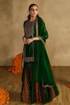 Reeti Arneja_Green Handloom Cotton, Silk, Organza Embroidery, Paan Patola Kurta Gharara Set _Online_at_Aza_Fashions