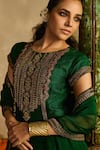 Reeti Arneja_Green Handloom Cotton, Silk, Organza Embroidery, Paan Patola Kurta Gharara Set _at_Aza_Fashions
