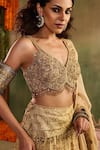 Shop_Reeti Arneja_Beige Silk Embroidery, Beads, Fringe, Zari, Sequins Tassel Tara Lehenga Set 
