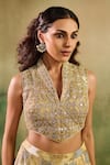 Buy_Reeti Arneja_Gold Chanderi Mirrors, Embroidery, Zari, Sequins V-neck, Rangrez Lehenga Set _Online_at_Aza_Fashions