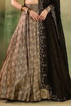 Reeti Arneja_Black Silk Zari, Sequins, Beads, Embroidery, Tassels Woven Lehenga Blouse Set _at_Aza_Fashions