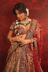 Shop_Archana Kochhar_Maroon Silk, Velvet, Net Embroidery, Ruhani Raat Zardozi Bridal Lehenga Set 
