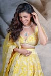 Shop_Archana Kochhar_Yellow Silk, Net Embroidery, Beads, Sequins, Pearls Marigold Resham Lehenga Set 
