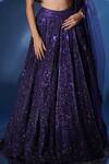 Shop_Archana Kochhar_Blue Net Sequins, Beads, Cut Work, Shimmering Electric Hand Lehenga Set 