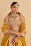 Sheetal Batra_Mustard Silk, Tissue Embroidery, Zari, Sequins, Stones, Aashina Lehenga Set _at_Aza_Fashions