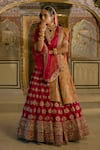 Buy_Sheetal Batra_Pink , Organza Embroidery, Zari V-neck Maira Raw Lehenga Set 