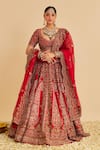 Shop_Sheetal Batra_Red , Organza Embroidery, Zari, Sequins Mahanoor Bridal Lehenga Set 