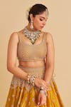 Buy_Sheetal Batra_Mustard Silk, Tissue Embroidery, Zari, Sequins, Stones, Aashina Lehenga Set _Online