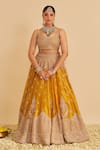 Shop_Sheetal Batra_Mustard Silk, Tissue Embroidery, Zari, Sequins, Stones, Aashina Lehenga Set 