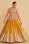 Shop_Sheetal Batra_Mustard Silk, Tissue Embroidery, Zari, Sequins, Stones, Aashina Lehenga Set _Online