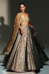 Buy_Mahima Mahajan_Gray Chanderi Silk, Tissue Embroidery, Hina Banarasi Bird Motif Lehenga Set _Online_at_Aza_Fashions