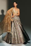 Buy_Mahima Mahajan_Gray Chanderi Silk, Tissue Embroidery, Hina Banarasi Bird Motif Lehenga Set _at_Aza_Fashions