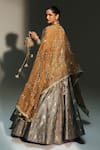 Shop_Mahima Mahajan_Gray Chanderi Silk, Tissue Embroidery, Hina Banarasi Bird Motif Lehenga Set _at_Aza_Fashions
