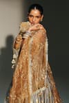 Buy_Mahima Mahajan_Gray Chanderi Silk, Tissue Embroidery, Hina Banarasi Bird Motif Lehenga Set 
