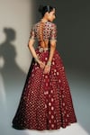 Shop_Mahima Mahajan_Red Chanderi , Organza Embroidery, Mirrors, Devi Hand Kali Lehenga Set _at_Aza_Fashions