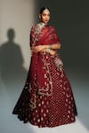 Mahima Mahajan_Red Chanderi , Organza Embroidery, Mirrors, Devi Hand Kali Lehenga Set _Online_at_Aza_Fashions