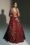 Buy_Mahima Mahajan_Red Chanderi , Organza Embroidery, Mirrors, Devi Hand Kali Lehenga Set _at_Aza_Fashions