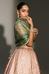 Buy Mahima Mahajan Blush , , , Organza Farah Hand Lehenga Set Online at Aza Fashions Buy_Mahima Mahajan_Blush , , , Organza Farah Hand Lehenga Set _Online_at_Aza_Fashions
