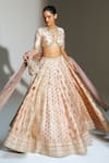 Buy Mahima Mahajan Blush , , , Organza Fariha Hand Lehenga Set at Aza Fashions Buy_Mahima Mahajan_Blush , , , Organza Fariha Hand Lehenga Set _at_Aza_Fashions
