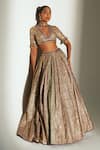 Buy Mahima Mahajan Gray Chanderi, Organza, Embroidery, Beads, Noorah Hand Lehenga Set Buy_Mahima Mahajan_Gray Chanderi, Organza, Embroidery, Beads, Noorah Hand Lehenga Set