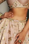 Shop Mahima Mahajan Blush Chanderi, , Organza Embroidery, Vidhi Hand Kali Lehenga Set Shop_Mahima Mahajan_Blush Chanderi, , Organza Embroidery, Vidhi Hand Kali Lehenga Set
