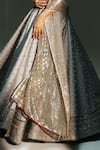 Buy Mahima Mahajan Gray Chanderi Embroidery, Sequins, Zari, Tassels Chandani Hand Kali Lehenga Set Buy_Mahima Mahajan_Gray Chanderi Embroidery, Sequins, Zari, Tassels Chandani Hand Kali Lehenga Set