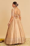 Shop_Sheetal Batra_Gold , Organza Embroidery, Zari, Sequins Round Neck Aaliya Lehenga Set _at_Aza_Fashions