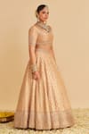 Shop_Sheetal Batra_Gold , Organza Embroidery, Zari, Sequins Round Neck Aaliya Lehenga Set _Online_at_Aza_Fashions