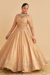 Buy_Sheetal Batra_Gold , Organza Embroidery, Zari, Sequins Round Neck Aaliya Lehenga Set 