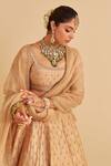Shop_Sheetal Batra_Gold , Organza Embroidery, Zari, Sequins Round Neck Aaliya Lehenga Set 