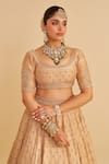 Sheetal Batra_Gold , Organza Embroidery, Zari, Sequins Round Neck Aaliya Lehenga Set _Online
