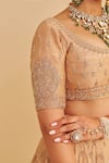 Buy_Sheetal Batra_Gold , Organza Embroidery, Zari, Sequins Round Neck Aaliya Lehenga Set _Online