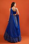 Shop Seema Gujral Blue Net Embroidery, Metallic Thread, Sequins Lehenga With Blouse at Aza Fashions Shop_Seema Gujral_Blue Net Embroidery, Metallic Thread, Sequins Lehenga With Blouse _at_Aza_Fashions