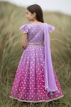Shop Fayon Kids Pink Chanderi, Cotton Embroidery, Lace, Tassels Butti Work Lehenga Set at Aza Fashions Shop_Fayon Kids_Pink Chanderi, Cotton Embroidery, Lace, Tassels Butti Work Lehenga Set _at_Aza_Fashions