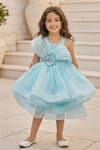 Buy Fayon Kids Blue Net Sequins, Fabric Flowers, Pearls Embroidered Dress at Aza Fashions Buy_Fayon Kids_Blue Net Sequins, Fabric Flowers, Pearls Embroidered Dress _at_Aza_Fashions