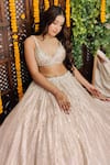 Buy_Amaltas Couture_Pink Net Sequins, Beads, Embroidery V-neck And Cutdana Lehenga Set 