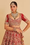 Shop_Sheetal Batra_Red , Organza Embroidery, Zari Sweetheart Sanaa Bridal Lehenga Set 