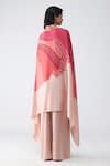 Shop_Amit Aggarwal_Blush Chiffon V-neck Fish Fin Cape And Pant Set _at_Aza_Fashions