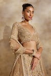 Shop Nitika Gujral Gold Net, Satin Beads, Sequins, Crystals, Embellished Champagne Lehenga Set Online at Aza Fashions Shop_Nitika Gujral_Gold Net, Satin Beads, Sequins, Crystals, Embellished Champagne Lehenga Set _Online_at_Aza_Fashions