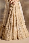 Buy Nitika Gujral Gold Net, Satin Embroidery, Beads, Sequins, Crystals, Cut Work Scoop Lehenga Set Buy_Nitika Gujral_Gold Net, Satin Embroidery, Beads, Sequins, Crystals, Cut Work Scoop Lehenga Set
