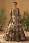 Buy Basanti - Kapde Aur Koffee Brown Brocade Sequins, Beads, Mirrors, Embroidery, The Wild Fern Lehenga Set at Aza Fashions Buy_Basanti - Kapde Aur Koffee_Brown Brocade Sequins, Beads, Mirrors, Embroidery, The Wild Fern Lehenga Set _at_Aza_Fashions