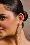 Tarun Tahiliani Gold Plated Stones, Pearls, Crystals Sleek Pave Shaped Embellished Long Earrings Online at Aza Fashions Tarun Tahiliani_Gold Plated Stones, Pearls, Crystals Sleek Pave Shaped Embellished Long Earrings _Online_at_Aza_Fashions