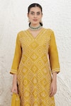 BAIDEHI_Mustard Silk, Organza Embroidery V-neck French Knot Kurta Set _Online_at_Aza_Fashions