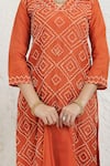 BAIDEHI_Orange Silk, Organza Embroidery V-neck French Knot Kurta Set _Online_at_Aza_Fashions